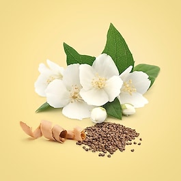 Beauty Eau de Parfum
